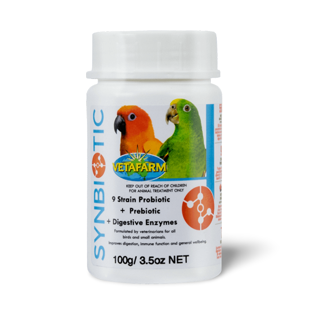 Synbiotic Avian Probiotics for Birds