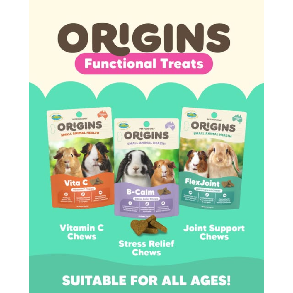 Origins Vita C Chews For Guinea Pigs