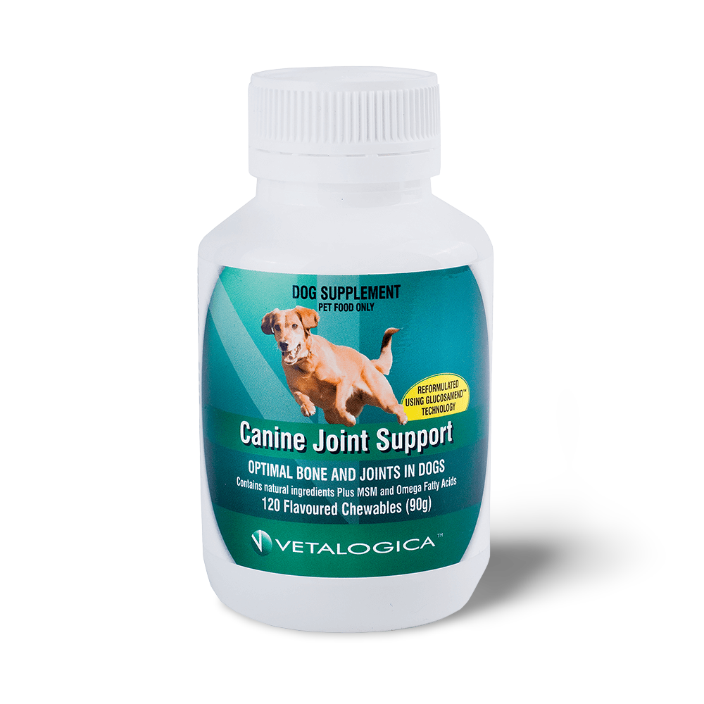Joint Support For Dogs