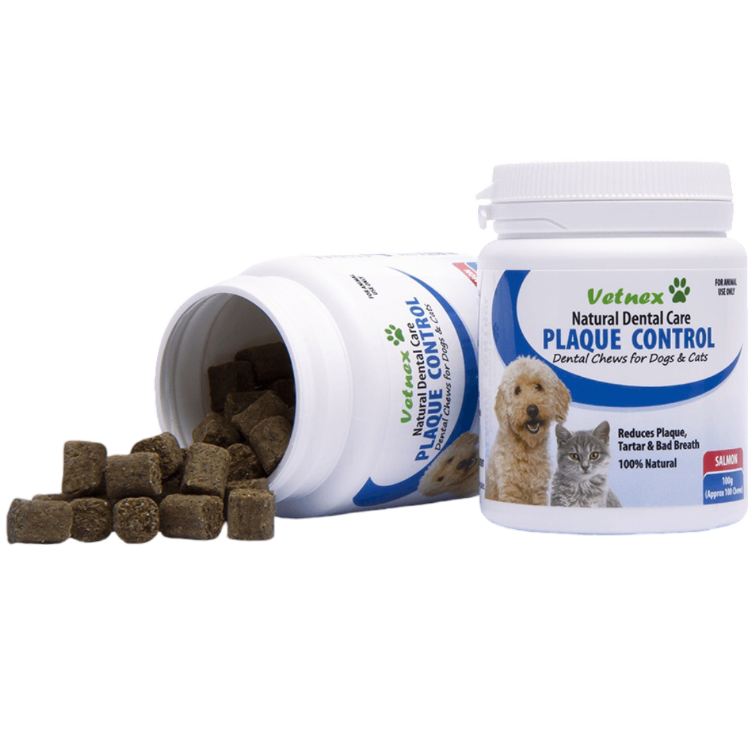 Natural Dental Care Plaque Control Soft Chews Salmon