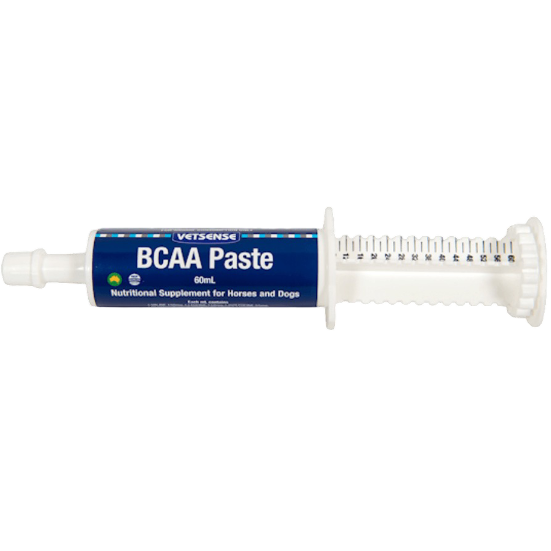 Bcaa Recovery Paste