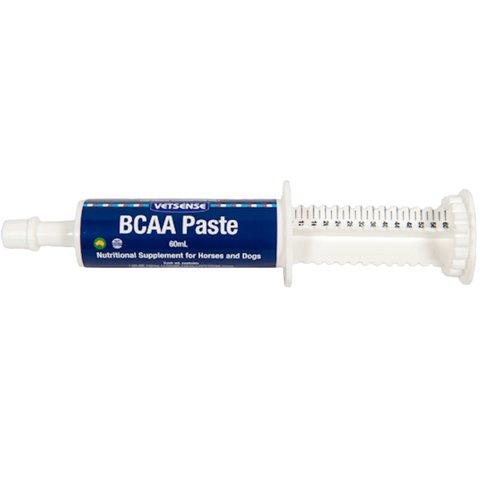 Bcaa Recovery Paste