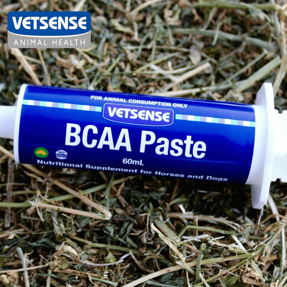 Bcaa Recovery Paste