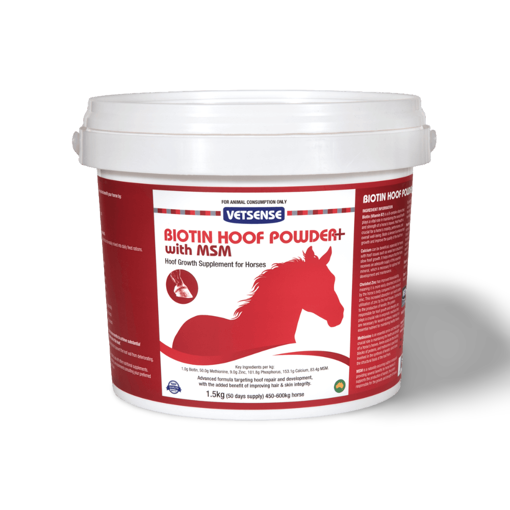 Biotin Hoof Powder Plus MSM for Horses
