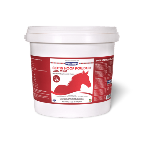 Biotin Hoof Powder Plus MSM for Horses
