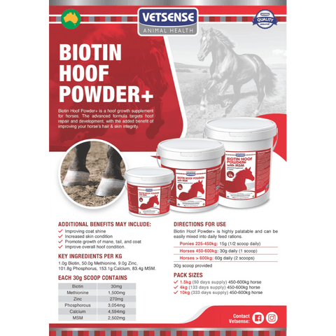 Biotin Hoof Powder Plus MSM for Horses