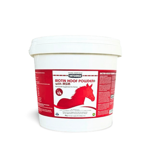 Biotin Hoof Powder Plus MSM for Horses