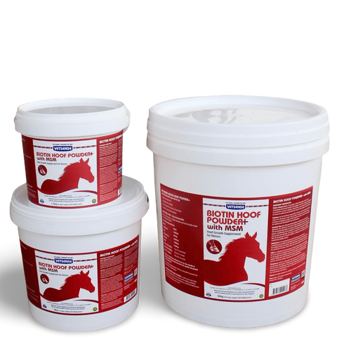 Biotin Hoof Powder Plus MSM for Horses