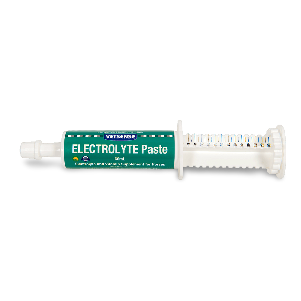 Electrolyte Paste