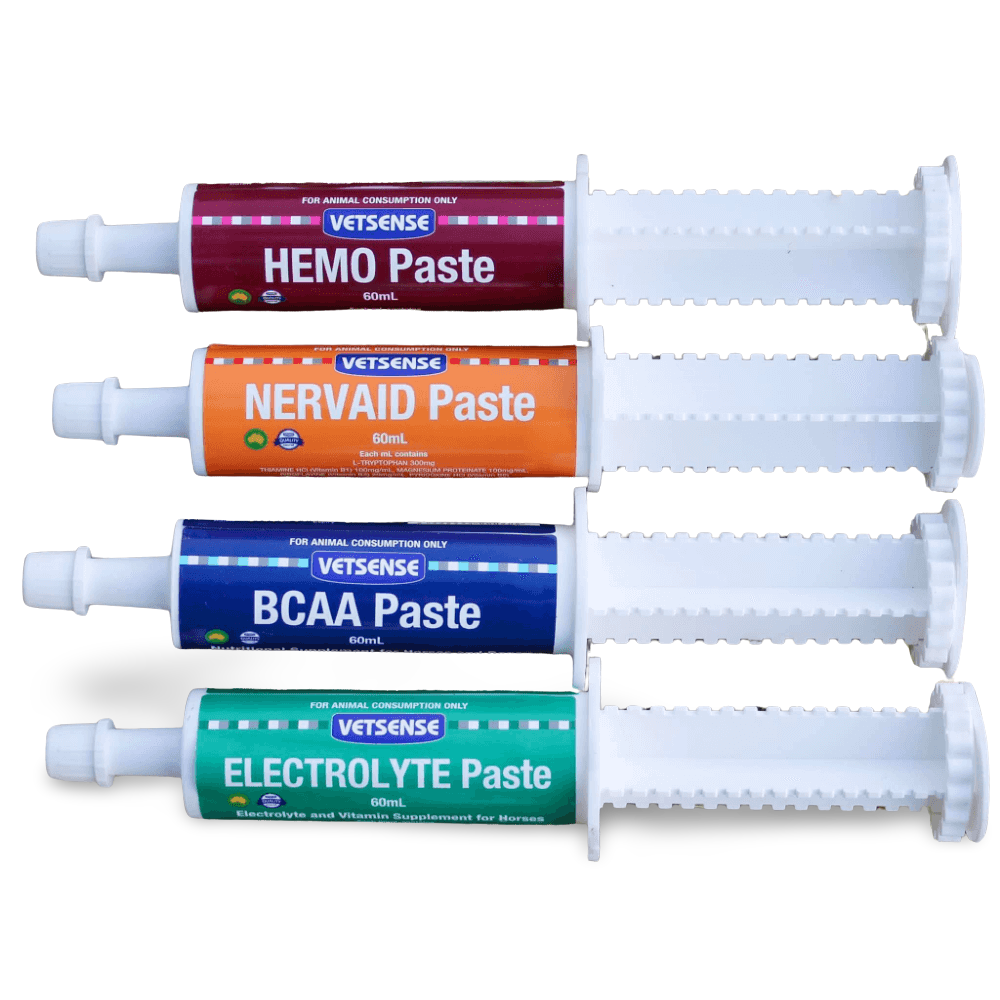 Electrolyte Paste