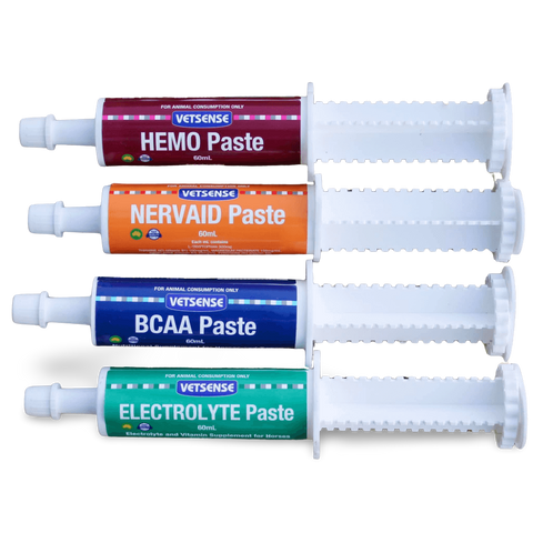 Electrolyte Paste