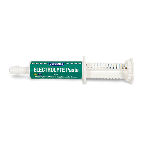 Electrolyte Paste