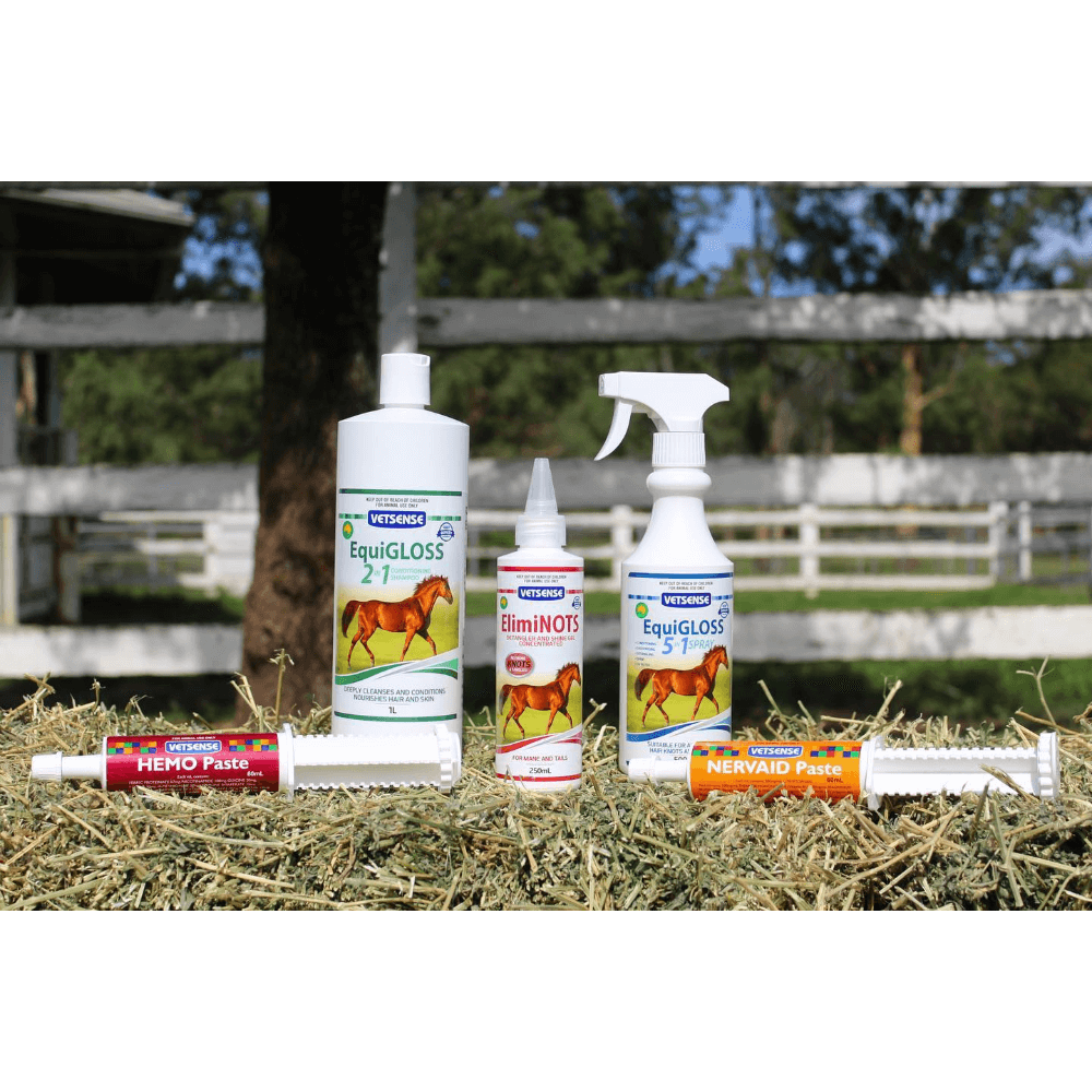 Equigloss 2 In 1 Conditioning Shampoo For Horses