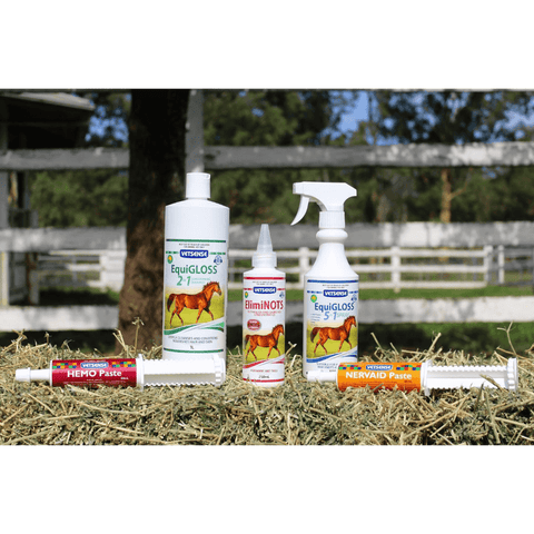 Equigloss 2 In 1 Conditioning Shampoo For Horses