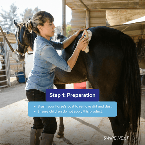 Flygon Gold For Horses