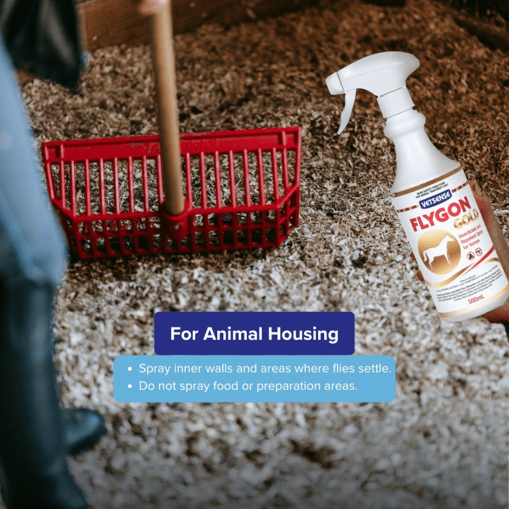 Flygon Gold For Horses