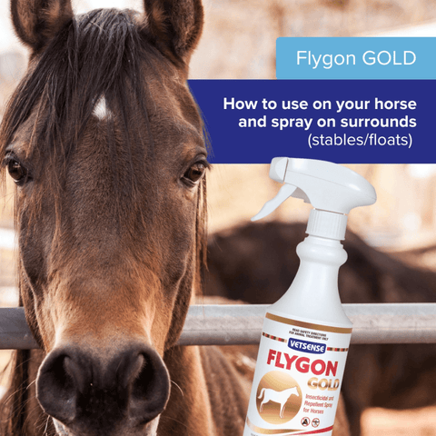 Flygon Gold For Horses