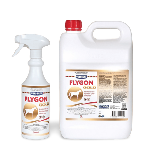 Flygon Gold For Horses