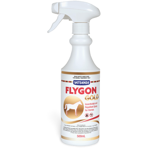 Flygon Gold For Horses