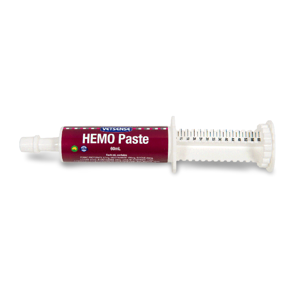 Hemo Basic Hemo Paste – petsome