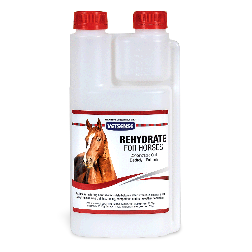 Rehydrate Horse