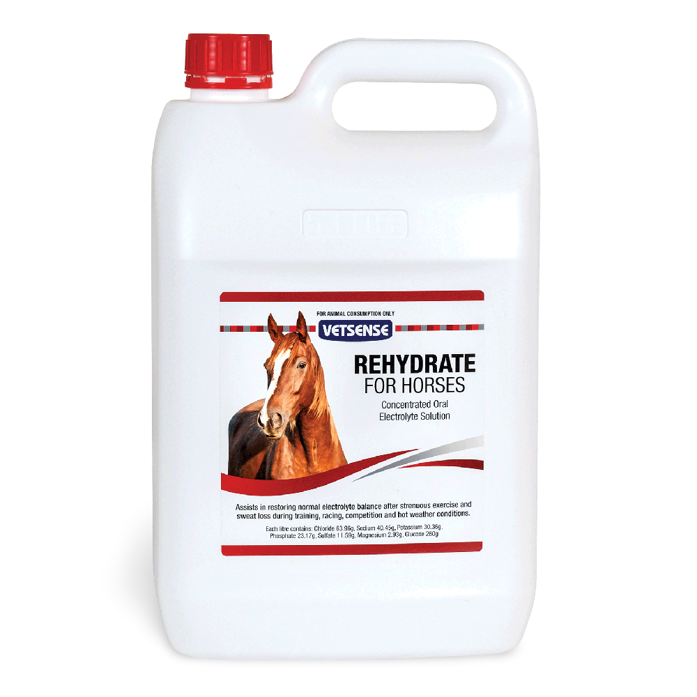 Rehydrate Horse