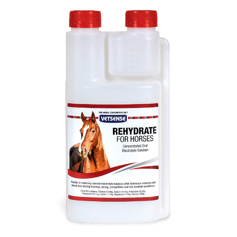 Rehydrate Horse