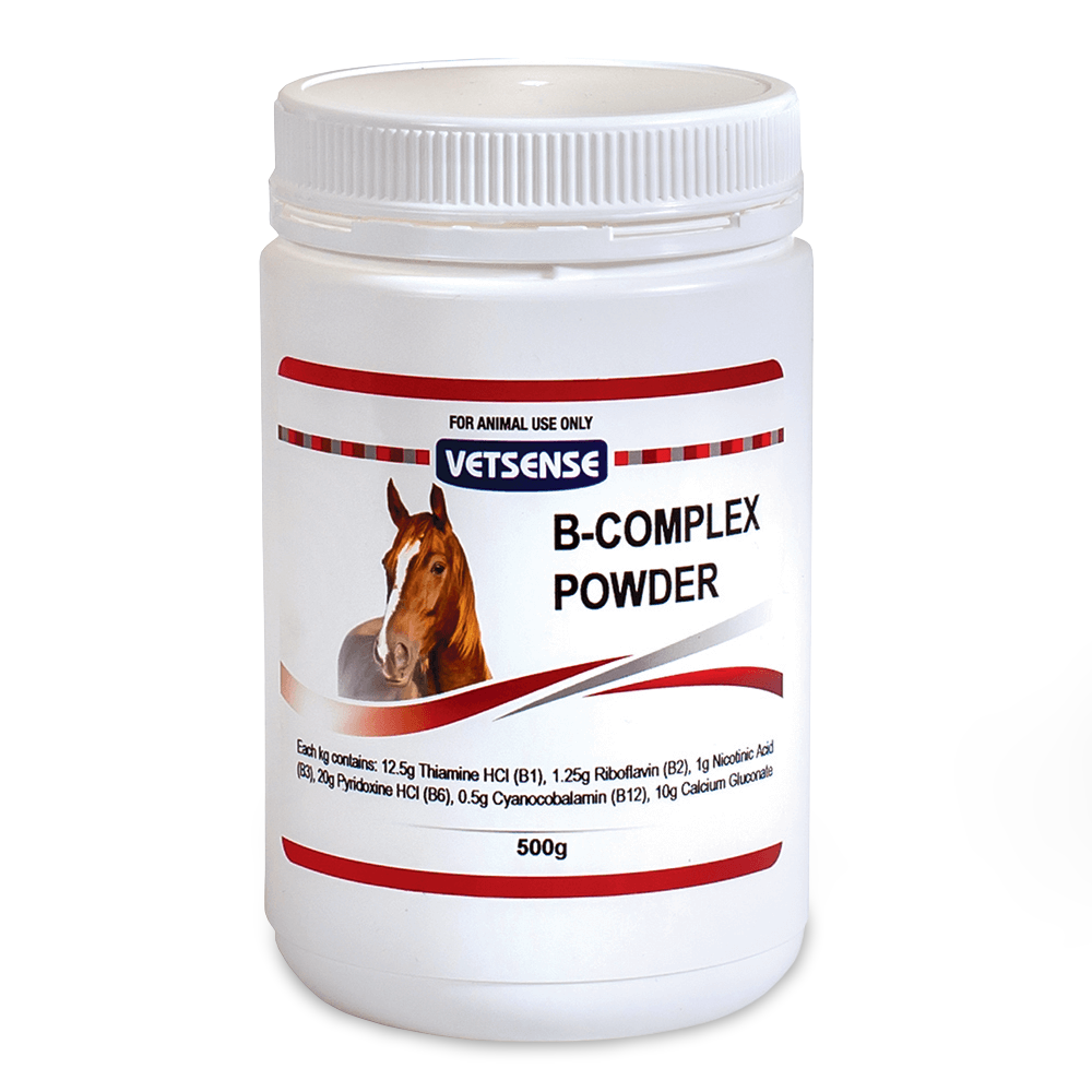 Vitamin B Complex Powder