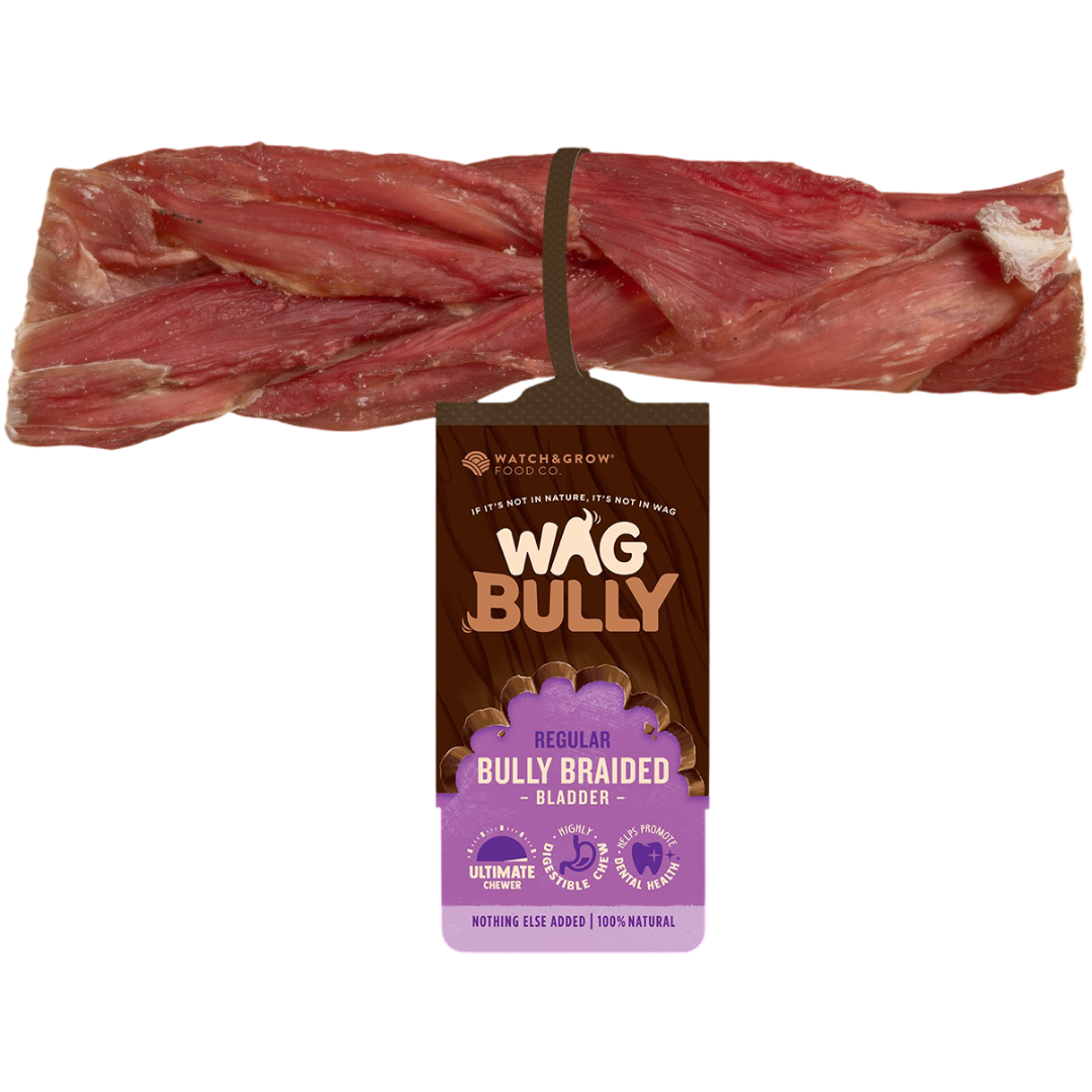 Dog Treats Braided Bully Stick Regular