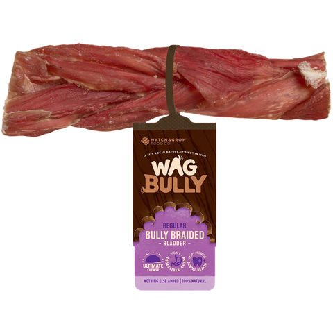 Dog Treats Braided Bully Stick Regular