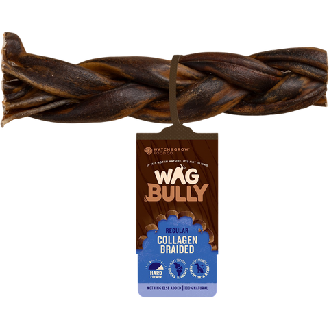 Braided Collagen Stick for Dogs Regular
