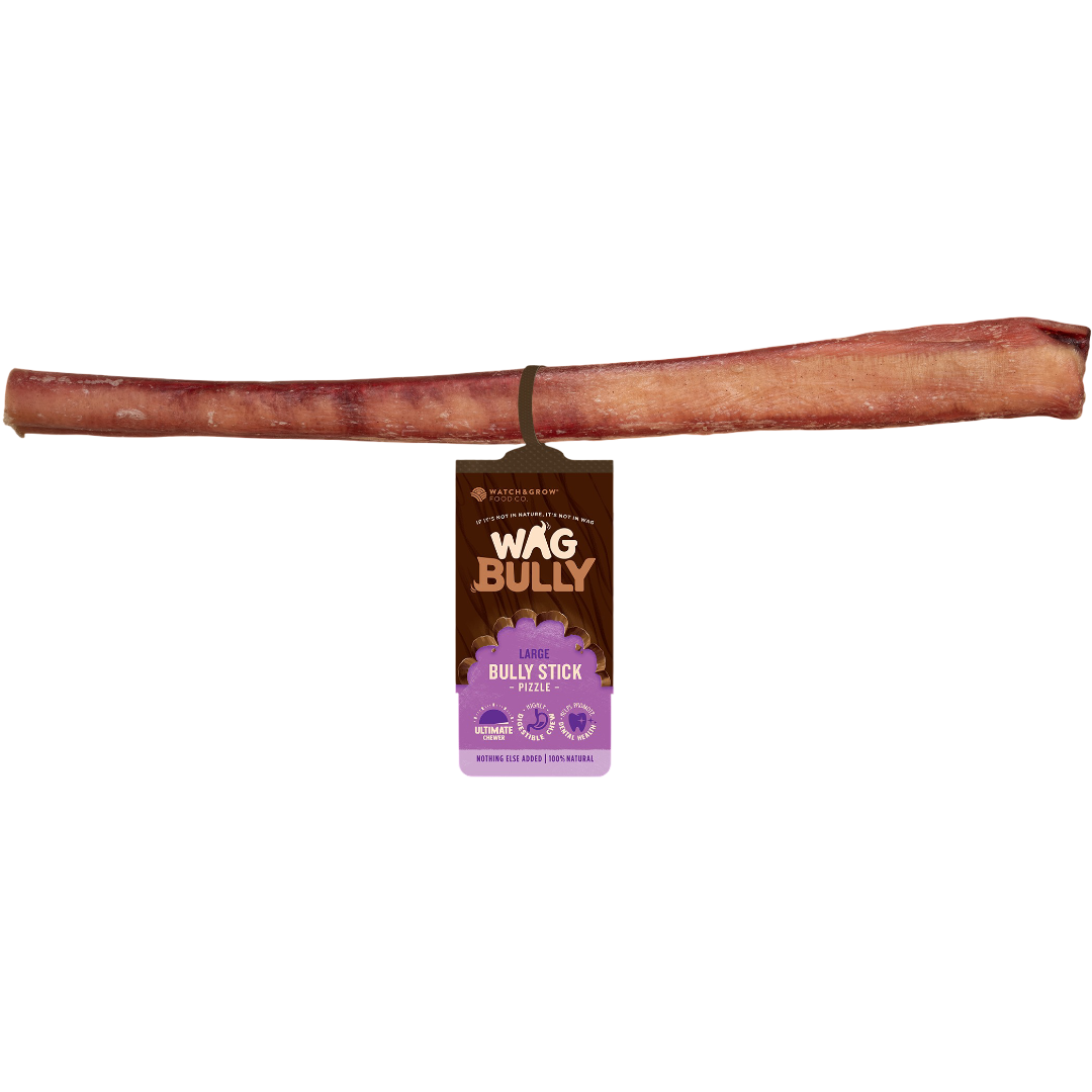 Dog Treats Bully Stick Large