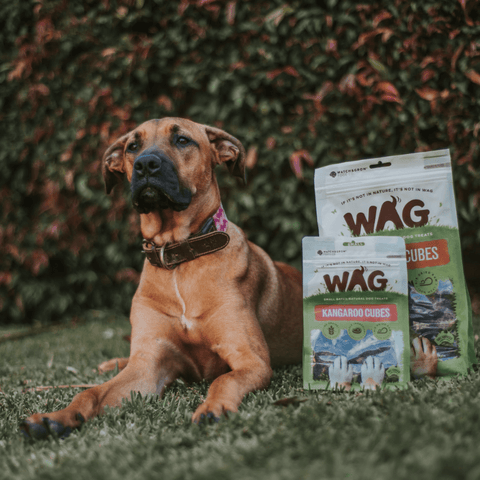 Dog Treats Kangaroo Cubes