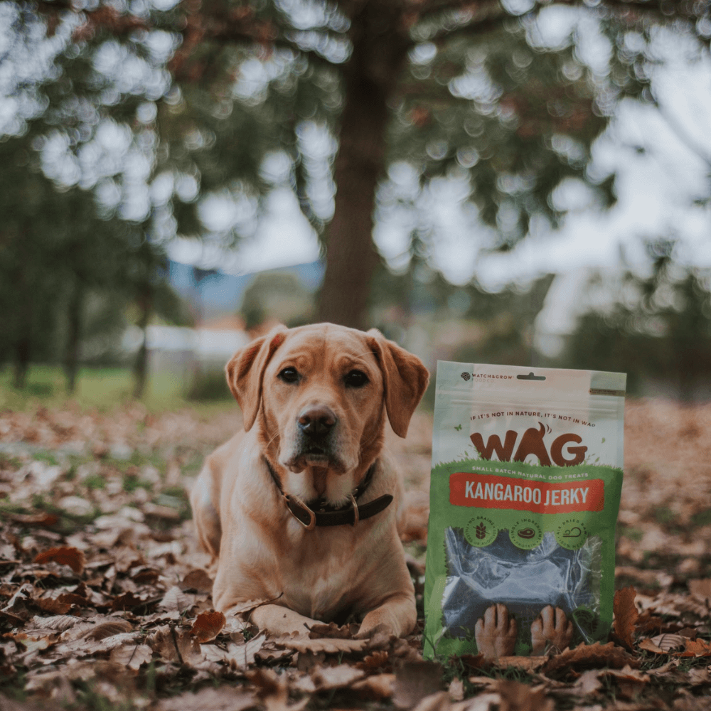 Dog Treats Kangaroo Jerky