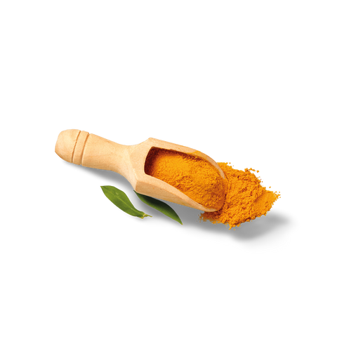 Kangaroo Jerky Immunity Dog Treats