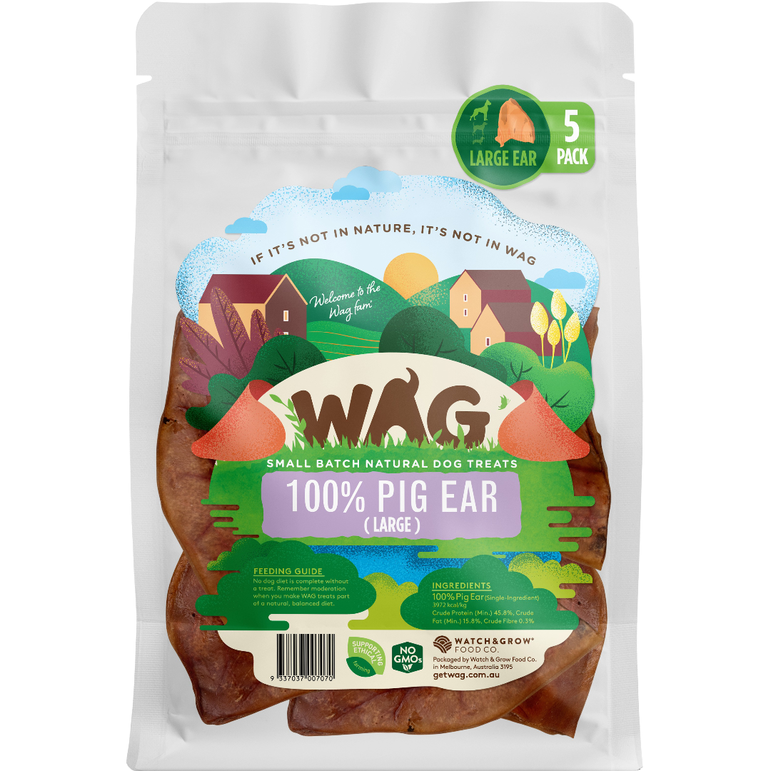 Pig Ear Large Dog Treats