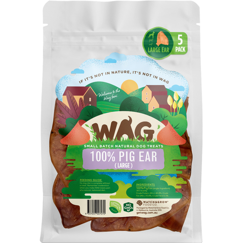 Pig Ear Large Dog Treats