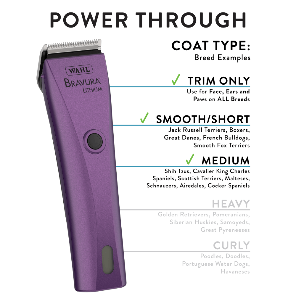Bravura Royal Purple Dog Clipper With 5 In 1 Blade