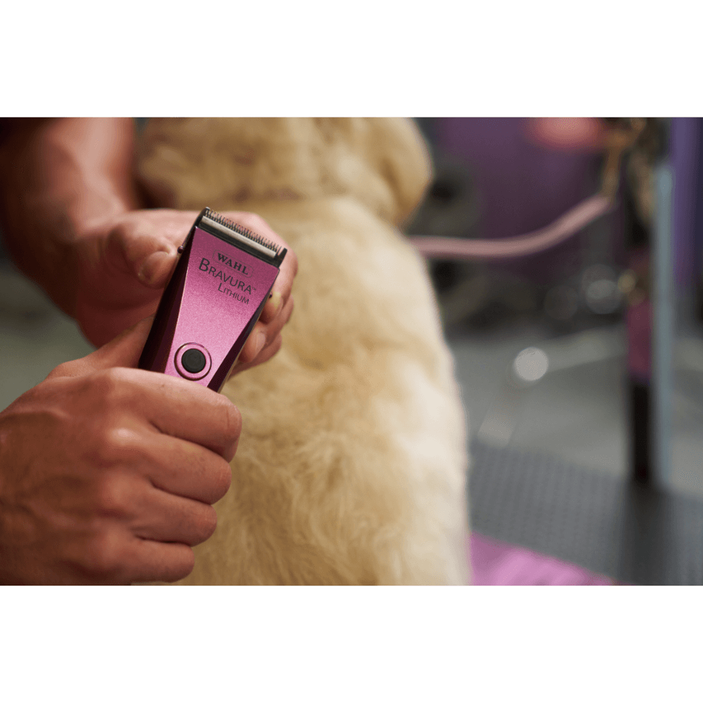 Bravura Royal Purple Dog Clipper With 5 In 1 Blade