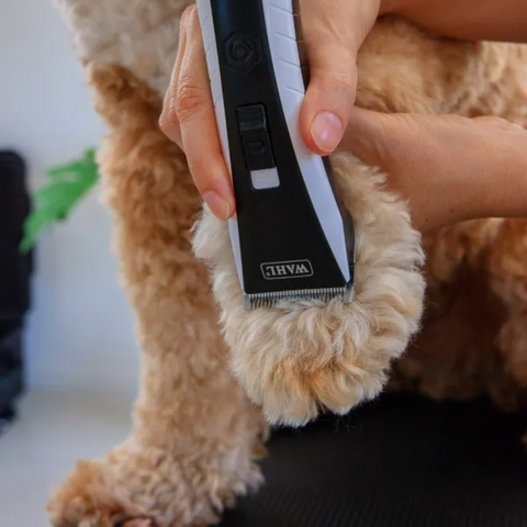 Cordless Lithium Dog Grooming Clipper for Medium Coats
