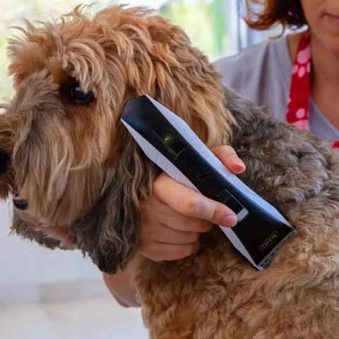 Cordless Lithium Dog Grooming Clipper for Medium Coats
