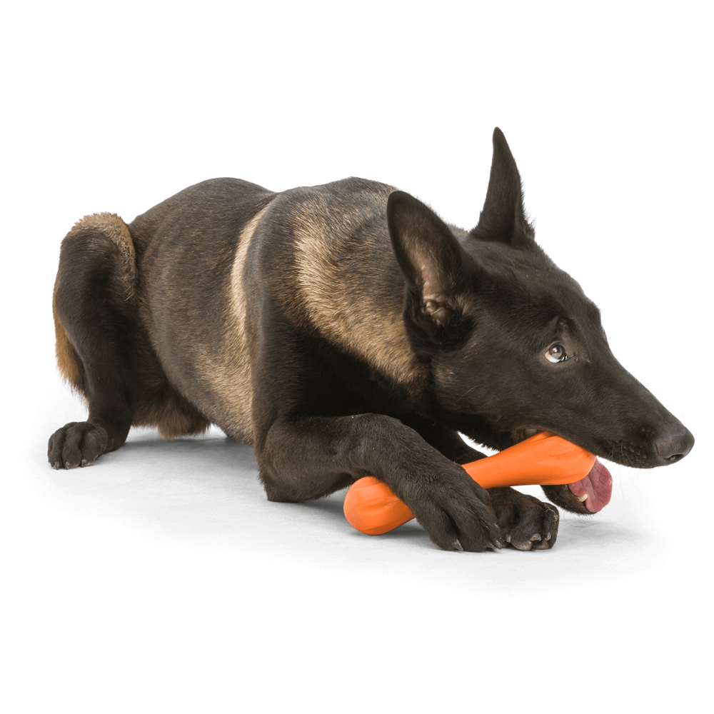 Hurley Fetch Tough Dog Toy Orange