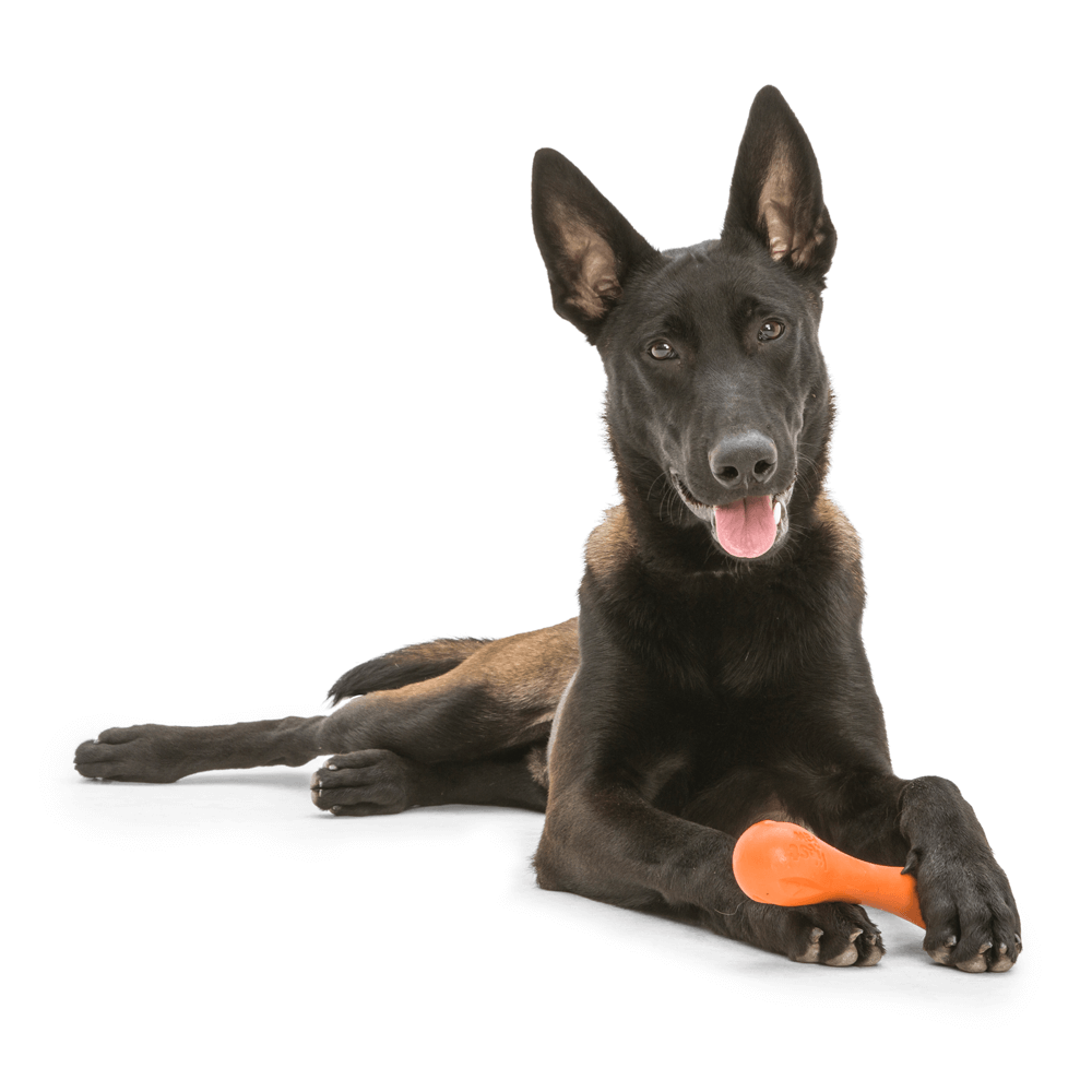 Hurley Fetch Tough Dog Toy Orange