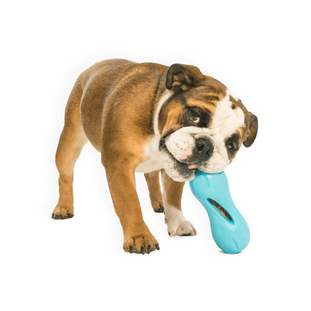 Qwizl Treat Dispensing Dog Toy Blue