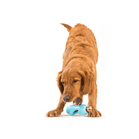 Qwizl Treat Dispensing Dog Toy Blue