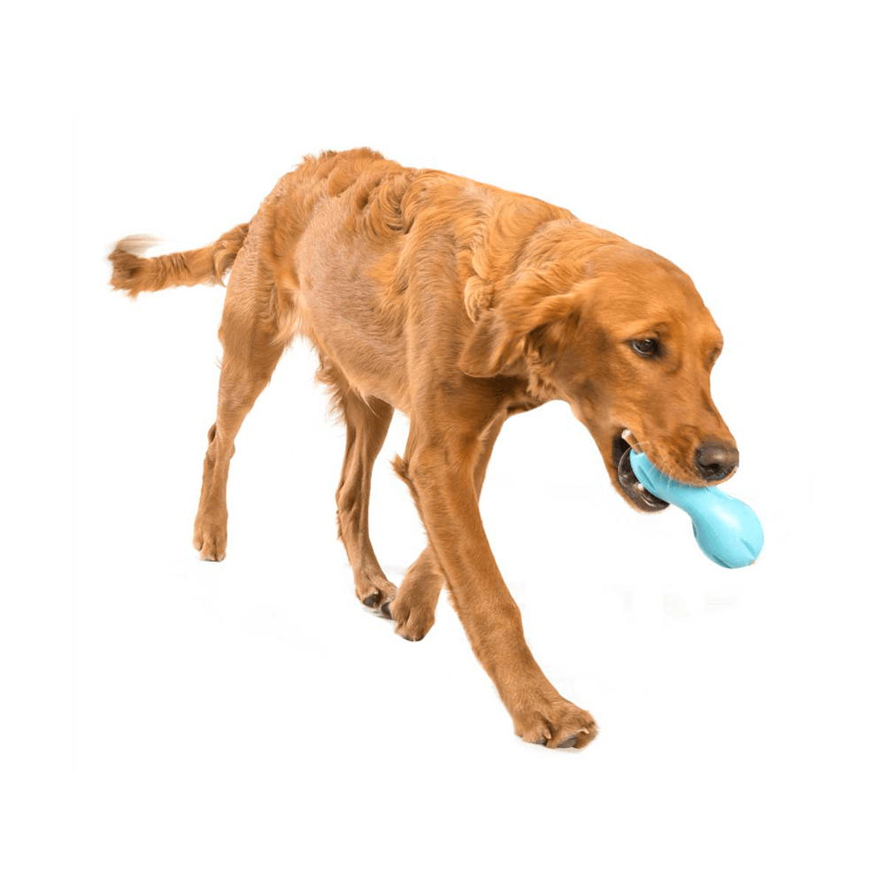 Qwizl Treat Dispensing Dog Toy Blue