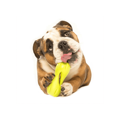 Qwizl Treat Dispensing Dog Toy Green