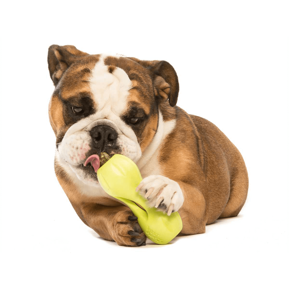 Qwizl Treat Dispensing Dog Toy Green