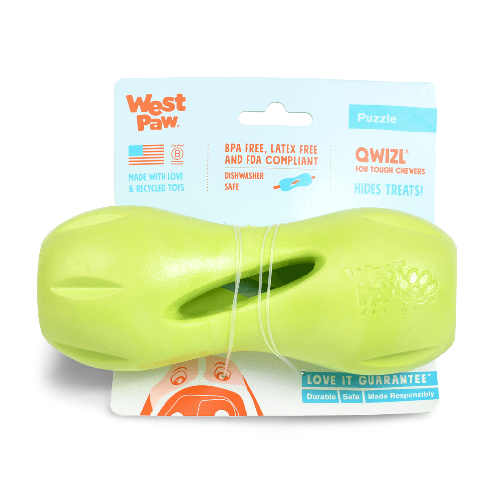 Qwizl Treat Dispensing Dog Toy Green