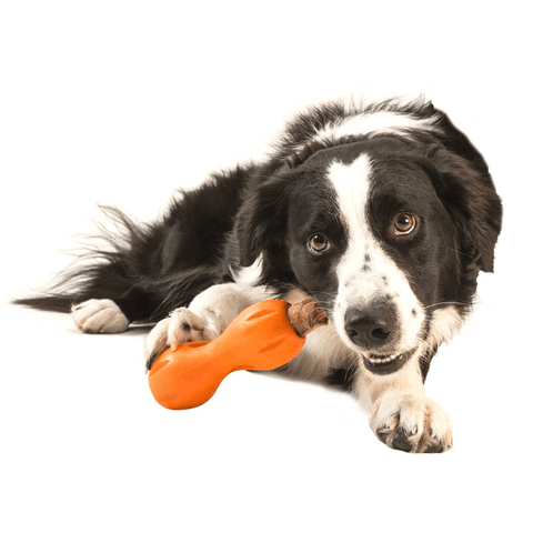 Qwizl Treat Dispensing Dog Toy Orange